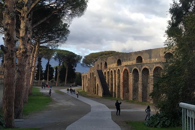 Skip the Line Private Pompeii Guided Tour - Traveler Photos