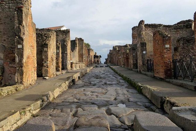 Skip the Line Private Pompeii Guided Tour - Tour Guide Paolo