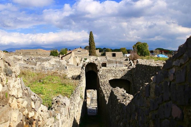 Skip-the-line Private Tour of Pompeii for Kids and Families - Questions and Additional Information