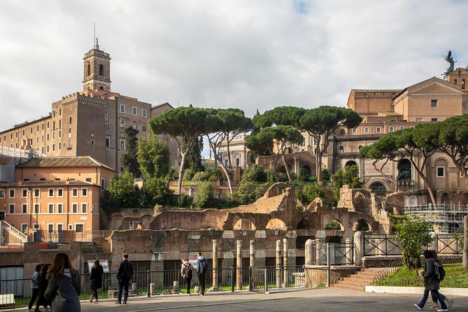 Skip-the-line Private Tour of the Colosseum Forums Palatine Hill & Ancient Rome - Reviews and Ratings