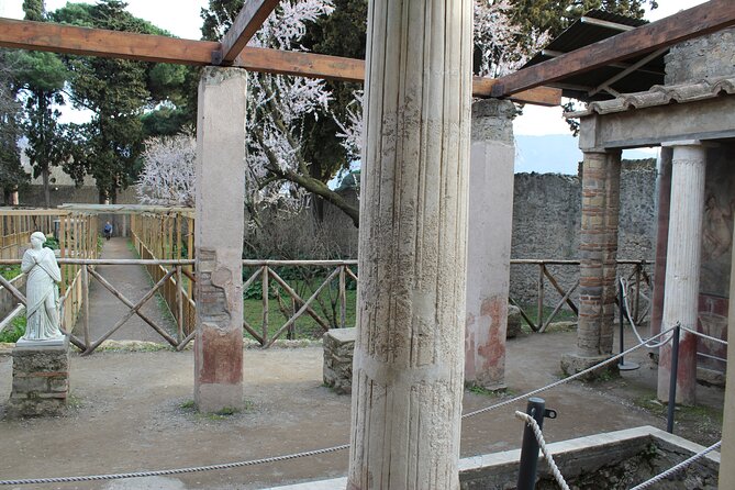 Skip-The-Line Private Tour Pompeii Highlights With Native Guide - Accessibility Notes