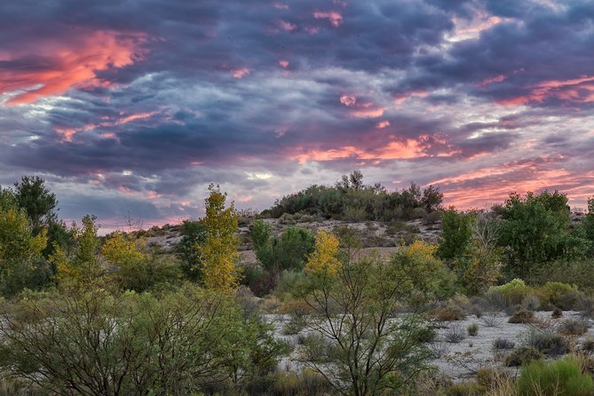 Skip the Line: Springs Preserve in Las Vegas Admission Ticket - Admission Ticket Pricing