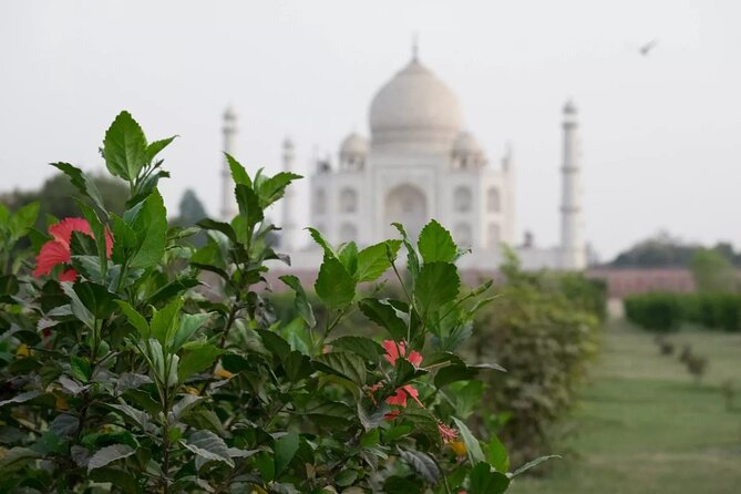 Skip the Line: Taj Mahal & Agra Fort Same Day Tour From Delhi - Pricing Details