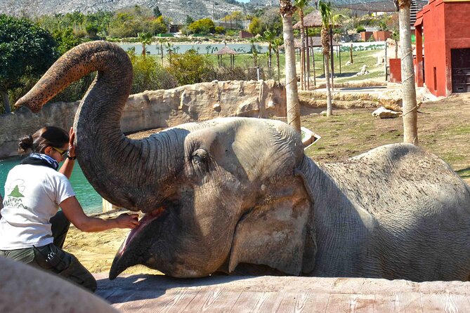 Skip the Line: Terra Natura Benidorm Entrance Ticket - Additional Information for Visitors