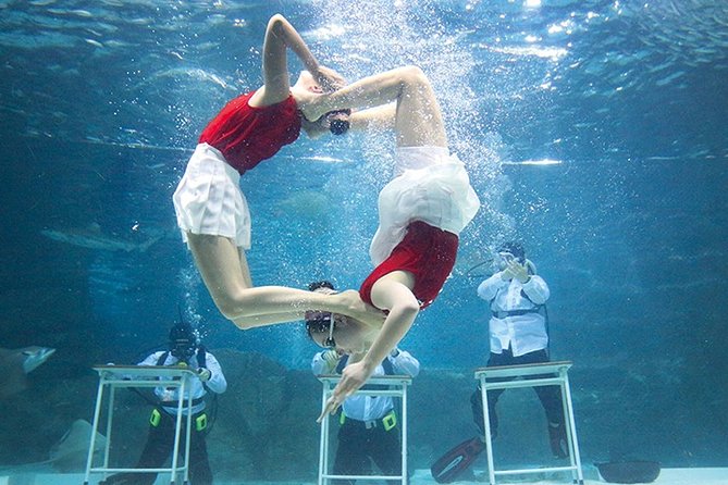 Skip the Line: the Greatest Urban Aquarium COEX Ticket (Not Applicable for Korean Residents) - Reviews