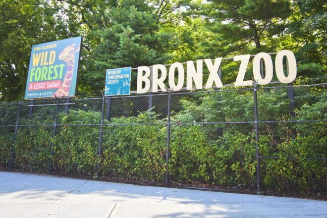 Skip-The-Line Tickets to Bronx Zoo With Private Transfers - Selecting Participants and Date