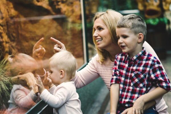Skip-The-Line Tickets to Bronx Zoo With Private Transfers - The Sum Up