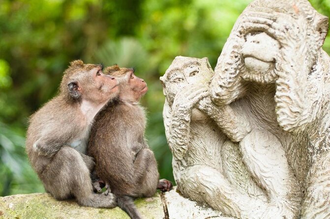 Skip-the-Line: Ubud Tour - All Inclusive Tickets - Itinerary Overview