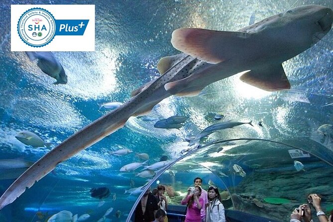 Skip-the-Line Underwater World Pattaya Ticket - Good To Know