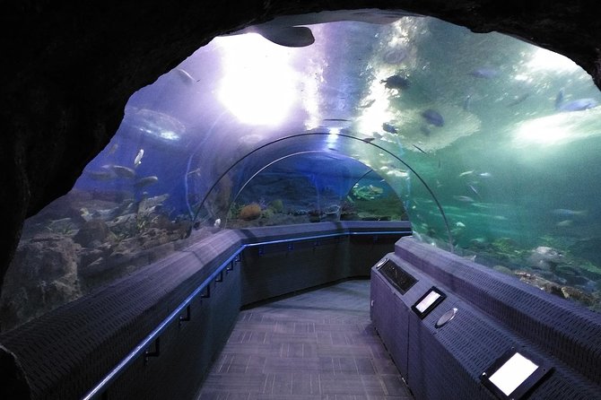 Skip-the-Line Underwater World Pattaya Ticket - Location and Opening Hours