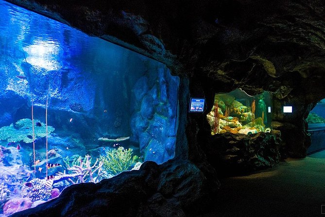 Skip-the-Line Underwater World Pattaya Ticket - Contact Information