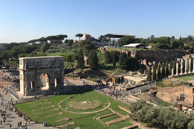 Skip the Line Walking Tour of the Colosseum, Roman Forum and Palatine Hill - Positive Reviews of Ferdinando (Tour Guide)