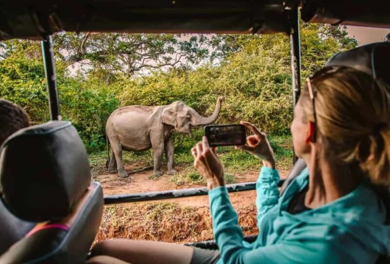 SKIP THE LINE - YALA SAFARI TOUR - Incl. ENTRY TICKETS - Good To Know