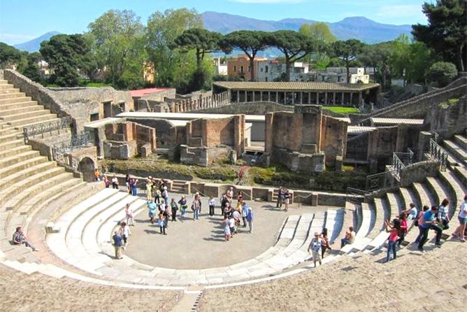 Skip-The-Lines Private Full-Day Ancient Pompeii and Herculaneum Ruins Tour - Reviews