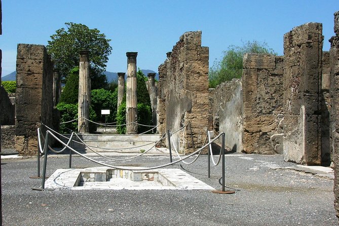 Skip-The-Lines Private Tour of Pompeii Including the Theatre the Forum and All Highlights - UNESCO-listed Ruins and Ancient Pompeii