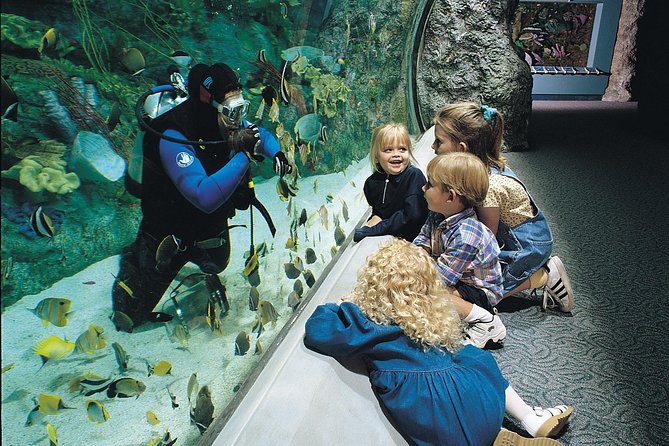 Skip the Ticketing Line: Aquarium of the Pacific General Admission Ticket - Overview and Whats Included