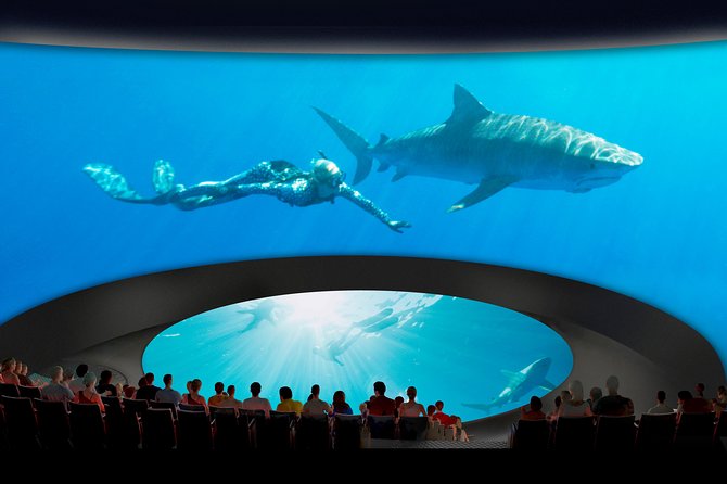 Skip the Ticketing Line: Aquarium of the Pacific General Admission Ticket - Visitor Reviews