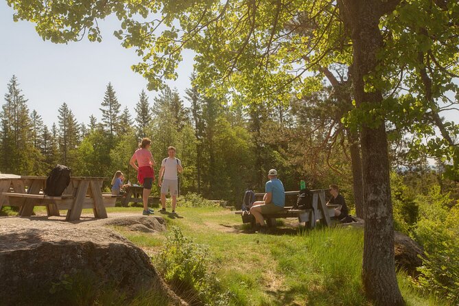 Skjennungen Forest Hiking Adventure  - Oslo - Meeting and Pickup Details