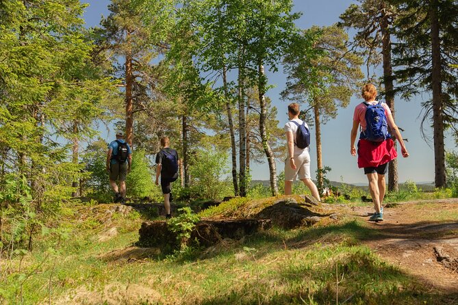 Skjennungen Forest Hiking Adventure  - Oslo - The Sum Up