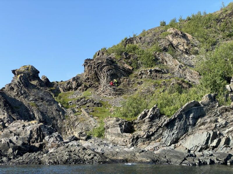 Skjervøy: Birds and Wildlife of Arctic Norway - Exploring the Arctic Fjords: What to Expect