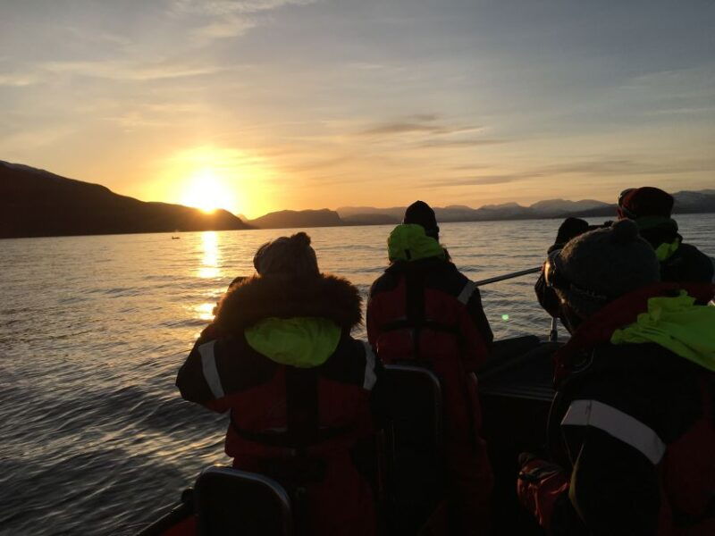 Skjervøy: Birds and Wildlife of Arctic Norway - Final Thoughts: Who Should Consider This Tour?