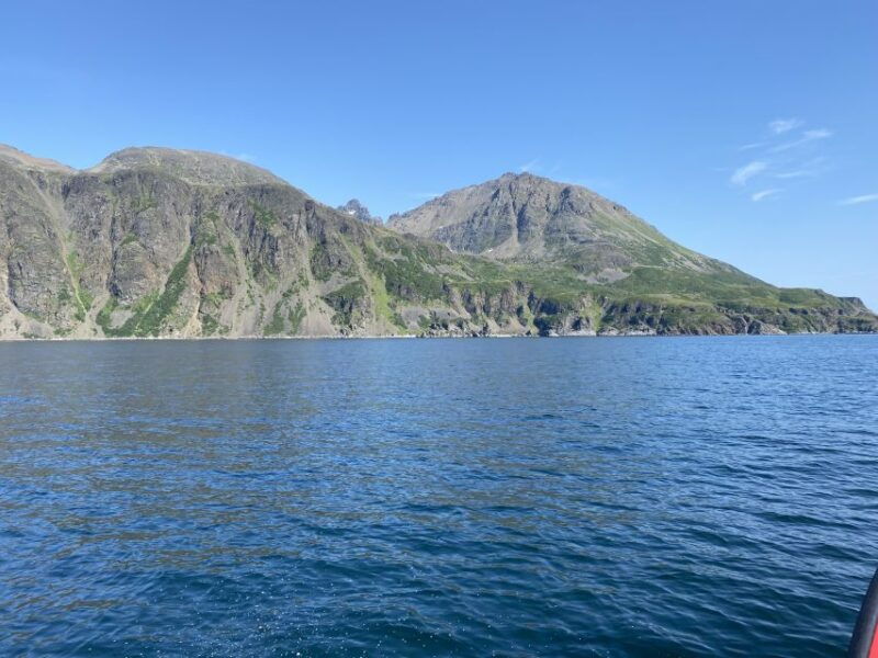 Skjervøy: Birds and Wildlife of Arctic Norway - FAQs