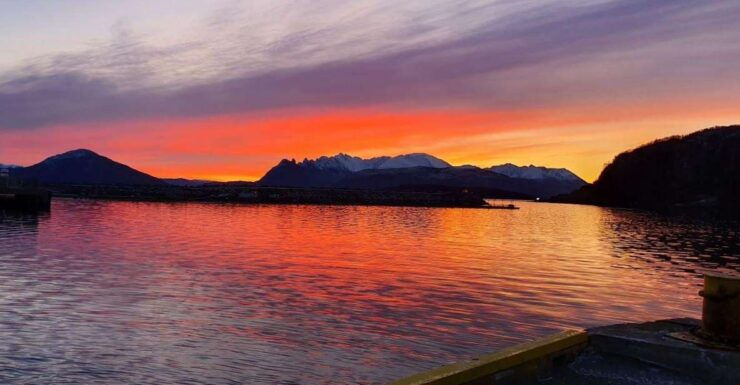 Skjervøy: Fjord Charter Adventure - Activity Information