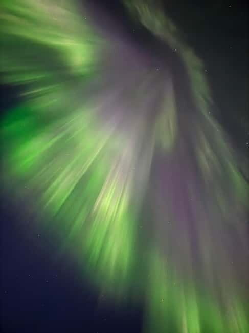 Skjervøy,North of Tromsø:Northern Lights Stargazing(Minivan) - Good To Know
