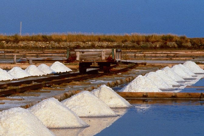Skocjan Caves & Secovlje Salt Pans | Private off Cruise Excursion From Koper - What to Expect