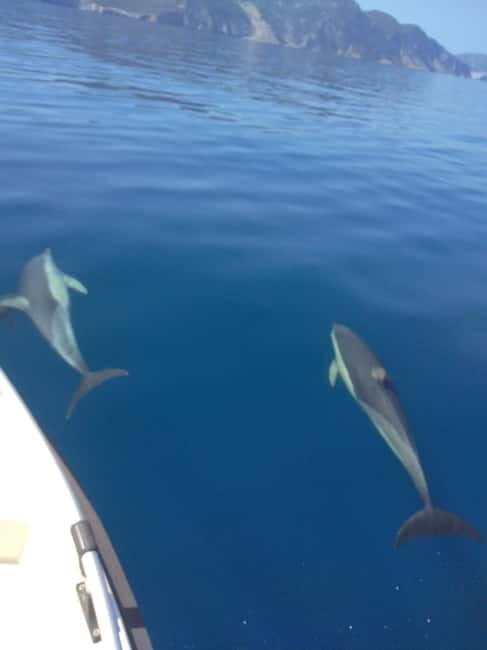 Skopelos: Private cruise to Alonissos and Marine Park - Final Thoughts