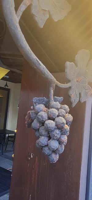 Skopje: Half-Day Stobi Wine Tour - Who Is This Tour Best For?