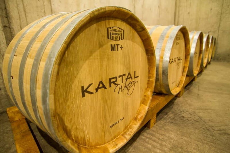 Skopje: Kartal Winery Tour - Final Thoughts