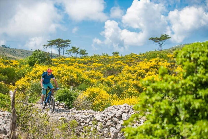 Skopje: Yugoslav Communist Tour on 2 wheels - Good To Know