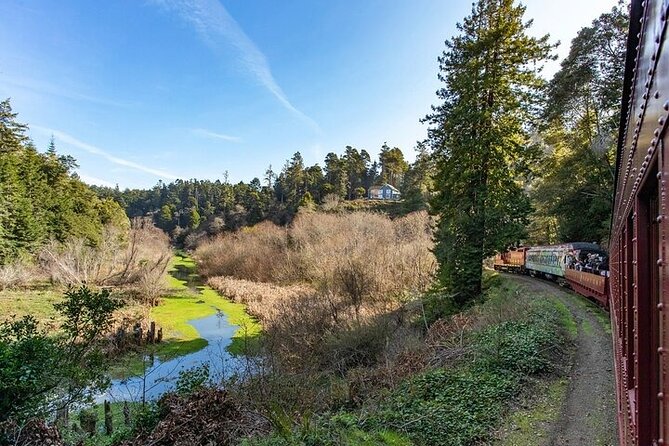 Skunk Train: Wolf Tree Turn From Willits - Traveler Photos