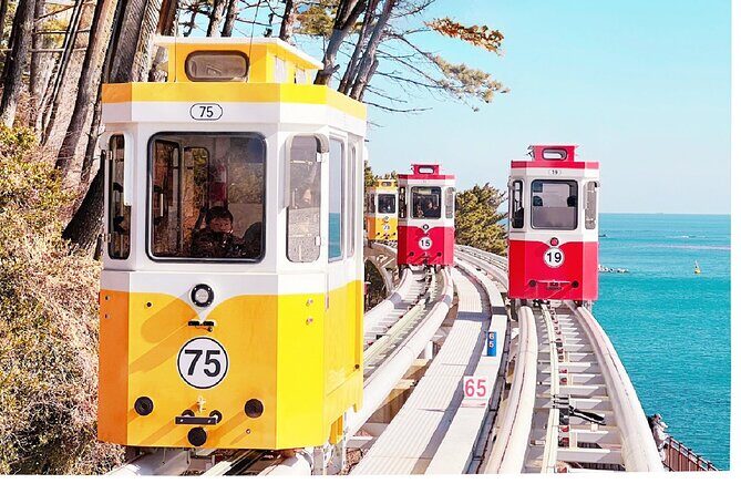 Sky Capsule, Gamcheon, Oryukdo & Huinnyeoul Village Day Tour - Good To Know