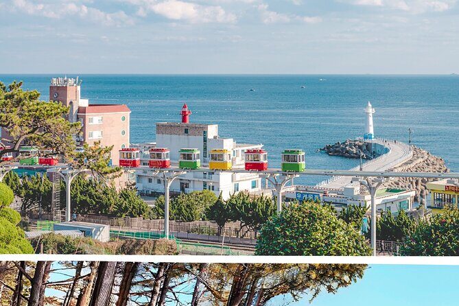 Sky Capsule, Gamcheon, Oryukdo & Huinnyeoul Village Day Tour - Why This Tour Works Well