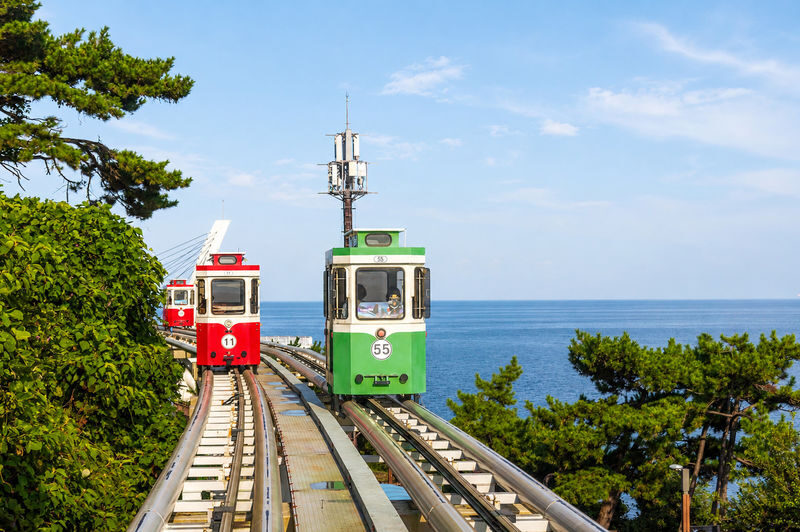 Sky Capsule & Hotel Pick-up Included: Small-Group Busan Tour - The Sky Walk and time to eat