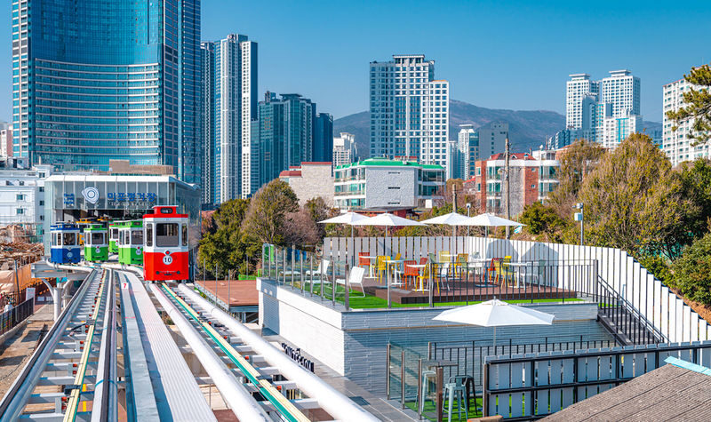 Sky Capsule & Hotel Pick-up Included: Small-Group Busan Tour - What a good guide adds