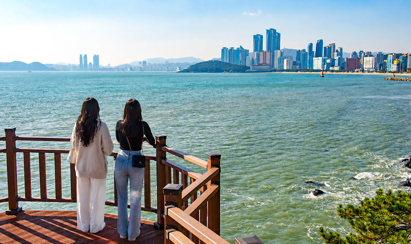 Sky Capsule & Hotel Pick-up Included: Small-Group Busan Tour - Is $67.05 good value?