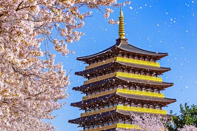 Sky Capsule with Cherry Blossom & Spring Flowers Tour from Busan - Final Thoughts