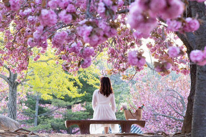 Sky Capsule with Cherry Blossom & Spring Flowers Tour from Busan - FAQ