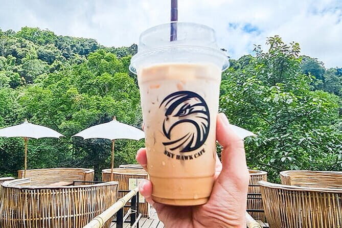 Sky Hawk Zipline Adventure with Optional ATV in Chiang Mai - Who Will Love This Tour?