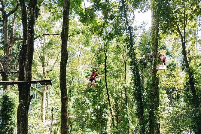 Sky Rock Khaolak Jungle Adventure - What to Expect When You Visit