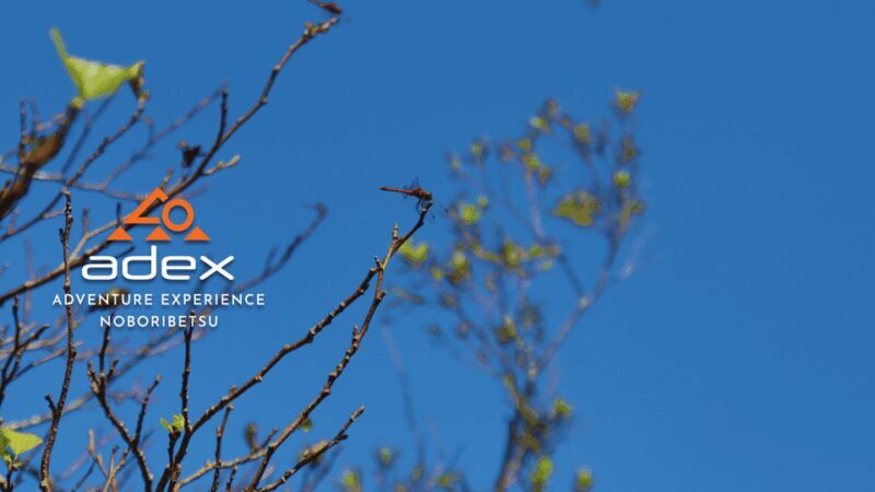 Sky walk Adventure:Ridge Trail on Date Monbetsu Peak - An In-Depth Look at the Sky Walk Adventure on Date Monbetsu Peak