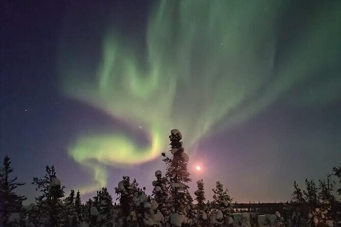 Skydome Aurora Viewing - Final Thoughts