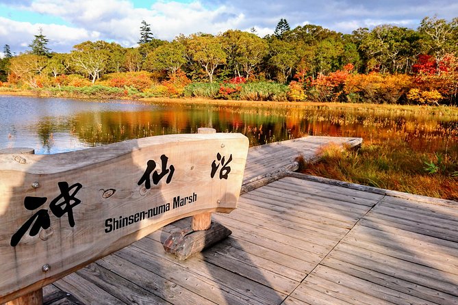 SkyExpress: Niseko Customised Private Day Tour (Up to 15 Passengers) - Infant Seats Availability