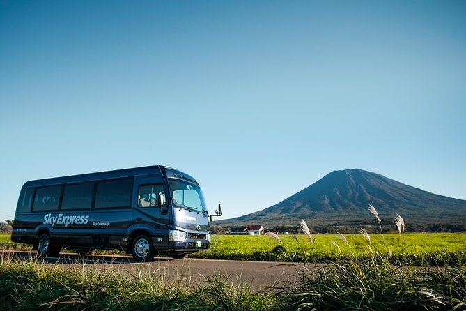 SkyExpress Private Transfer: New Chitose Airport to Hakodate (15 Passengers) - Service Overview