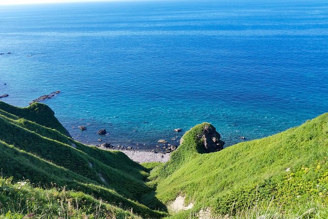 SkyExpress: Shakotan Peninsula Customised Private Day Tour (Up to 8 Passengers) - Tour Inclusions