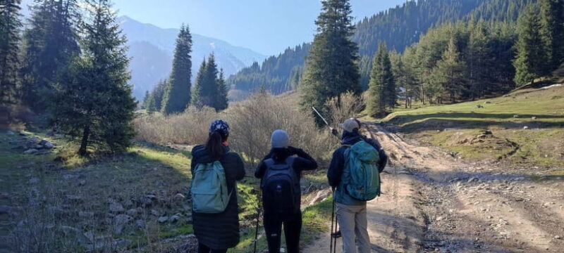 Skyline Hike in Almaty: Bukreev Peak - Skyline Hike in Almaty: Bukreev Peak — A Truly Scenic Adventure
