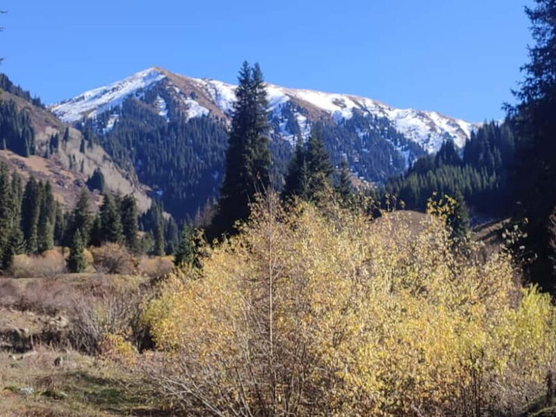 Skyline Hike in Almaty: Bukreev Peak - Who Will Love This Tour?